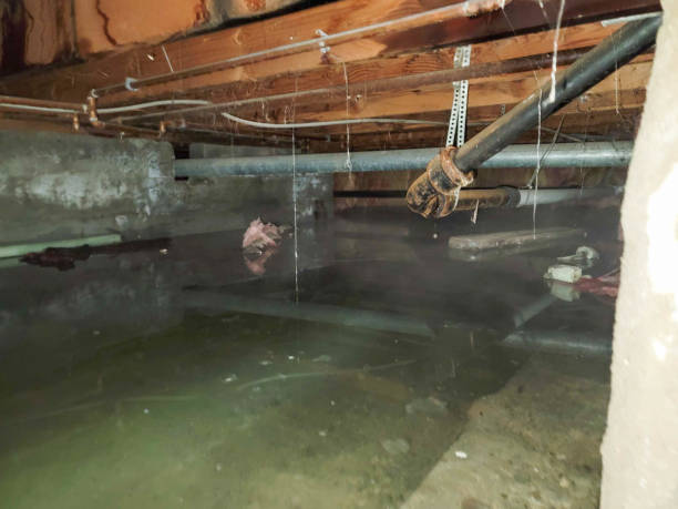 Reliable Santa Ana Pueblo, NM Water damage restoration Solutions