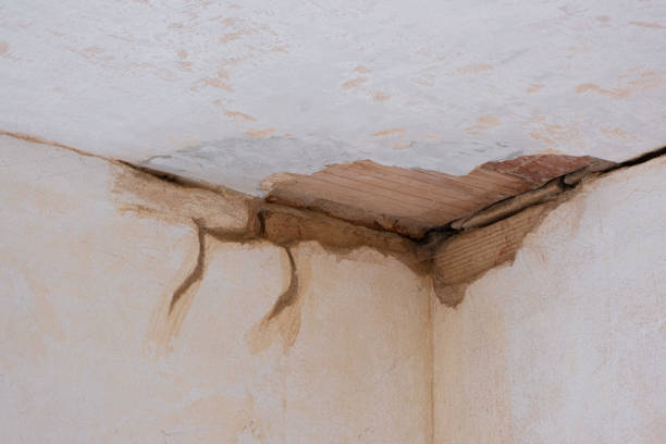 Best Local water damage restoration  in Santa Ana Pueblo, NM