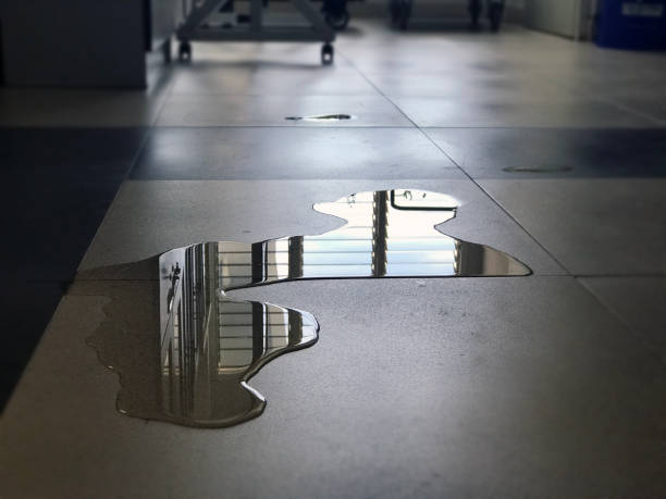 Best Water damage restoration near me  in Santa Ana Pueblo, NM