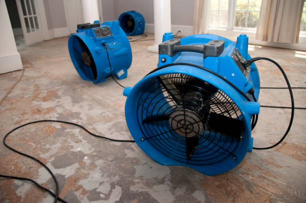Best Basement water damage restoration  in Santa Ana Pueblo, NM
