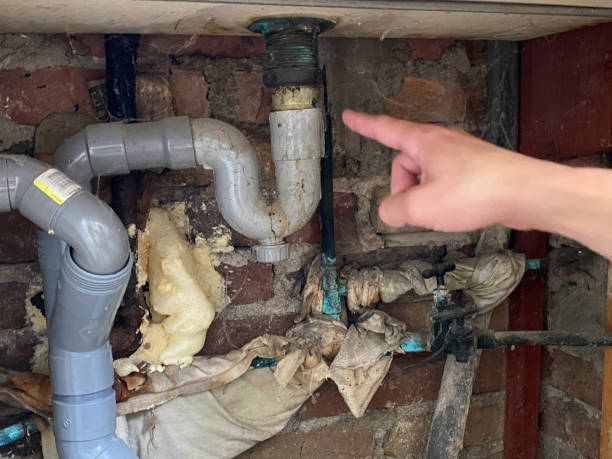 Best Fire Damage Restoration  in Santa Ana Pueblo, NM