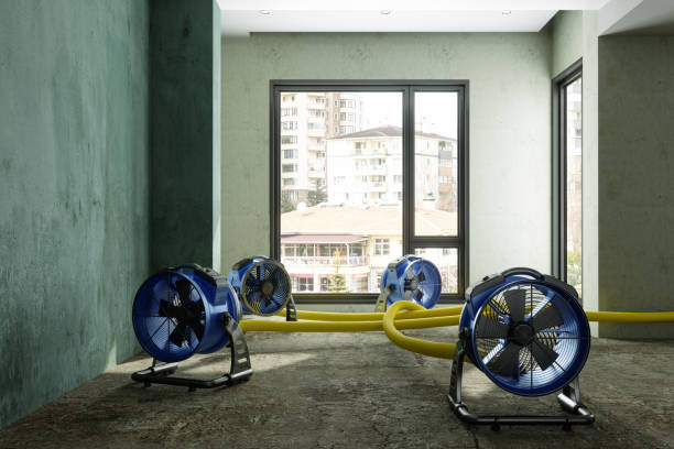 Best Sewage cleanup and water damage restoration  in Santa Ana Pueblo, NM