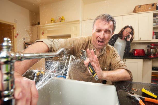 Best Flood damage cleanup  in Santa Ana Pueblo, NM